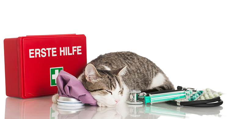 Lo más importante es conservar la calma (iStock)