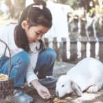 Los conejos son muy buenas mascotas (iStock)