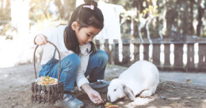 Los conejos son muy buenas mascotas (iStock)