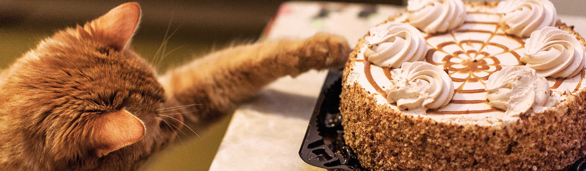 Para celebrar su cumpleaños o cualquier día especial, una tarta es lo mejor (iStock)