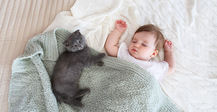 Principalmente los animales con pelo ayudan a tu bebé (iStock)