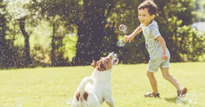 Se convertirán en mejores amigos en cuanto se vean (iStock)