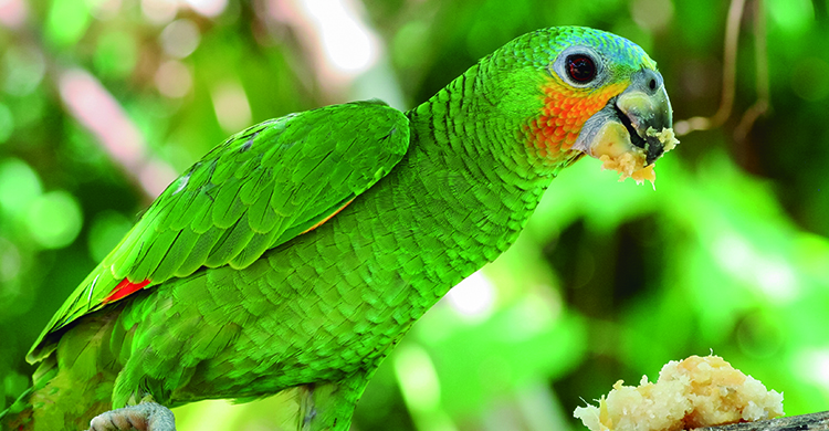 Si no quiere comer también deberías preocuparte (iStock)