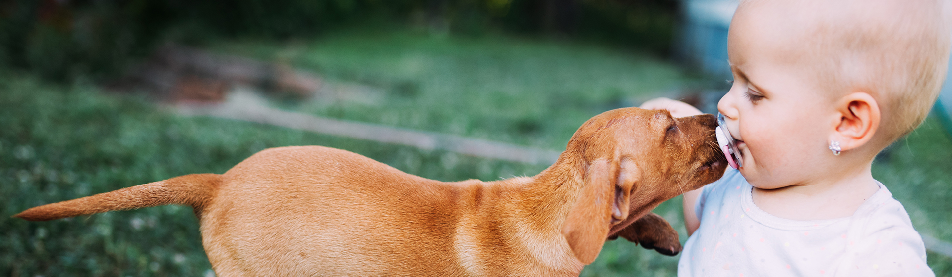 Te puede sonar raro pero las mascotas y sus bacterias benefician a tu bebe (iStock)