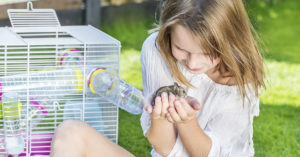 Todos los niños quieren un hamster (iStock)
