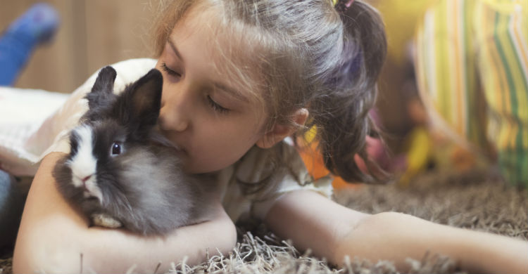 Las mascotas hacen que sus dueños vivan en una mayor tranquilidad pese a vivir en una gran ciudad (Foto: iStock)