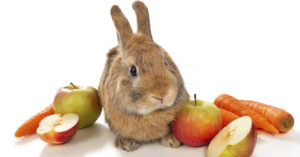 Cuidar su alimentación también es fundamental (iStock)