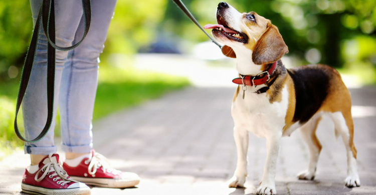 La paciencia, el otro ingrediente (Istock)