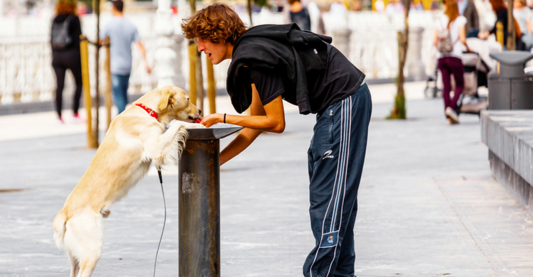 Una iniciativa pionera en España (Istock)