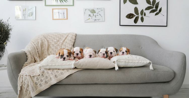 La educación es crucial para la limpieza en casa (Istock)