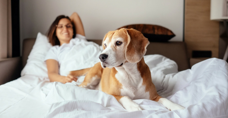 Prolongarás su vida (Istock)