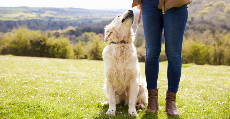 La disciplina es imprescindible (Istock)