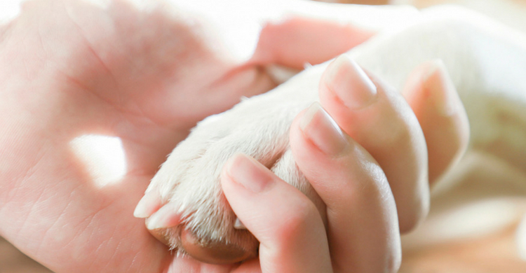 En España todavía no está permitido, excepto el hospital de Ibiza (Istock)