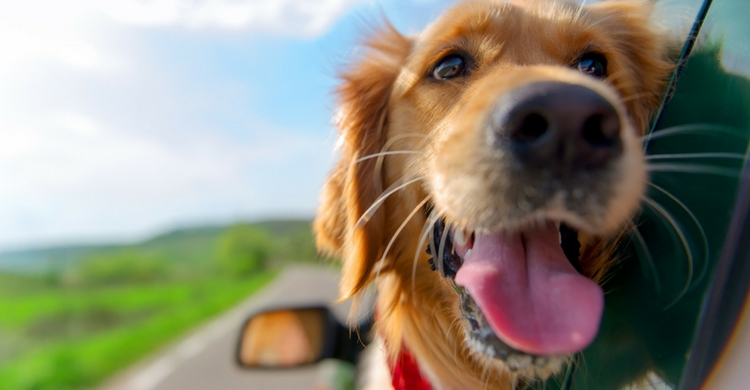 Para cada hora (Istock)