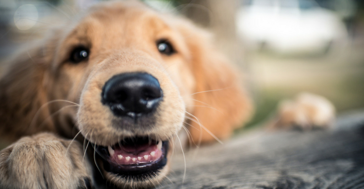 El tratamiento dura como mínimo 3 meses (Istock)