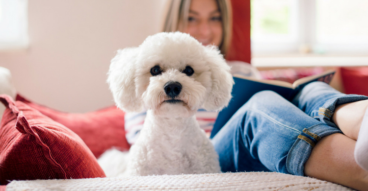 Con unos sencillos remedios mantendrás tu sofá impecable (Istock)