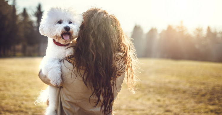 Si esterilizas a tu mascota evitarás enfermedades (Istock)