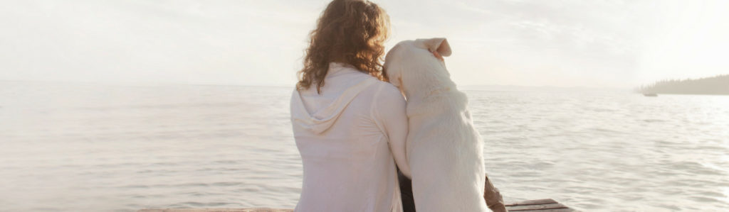 Por qué esterilizar a tu mascota es una buena opción (Istock)
