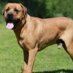 Aunque intentes educarlos, no responden (Istock)