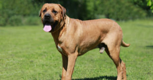 Aunque intentes educarlos, no responden (Istock)