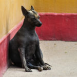 El perfecto corredor (Istock)