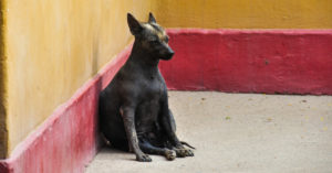 El perfecto corredor (Istock)