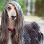 Pelo liso y raya al lado