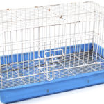 Lo más básico es una buena jaula (iStock)