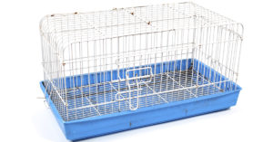 Lo más básico es una buena jaula (iStock)