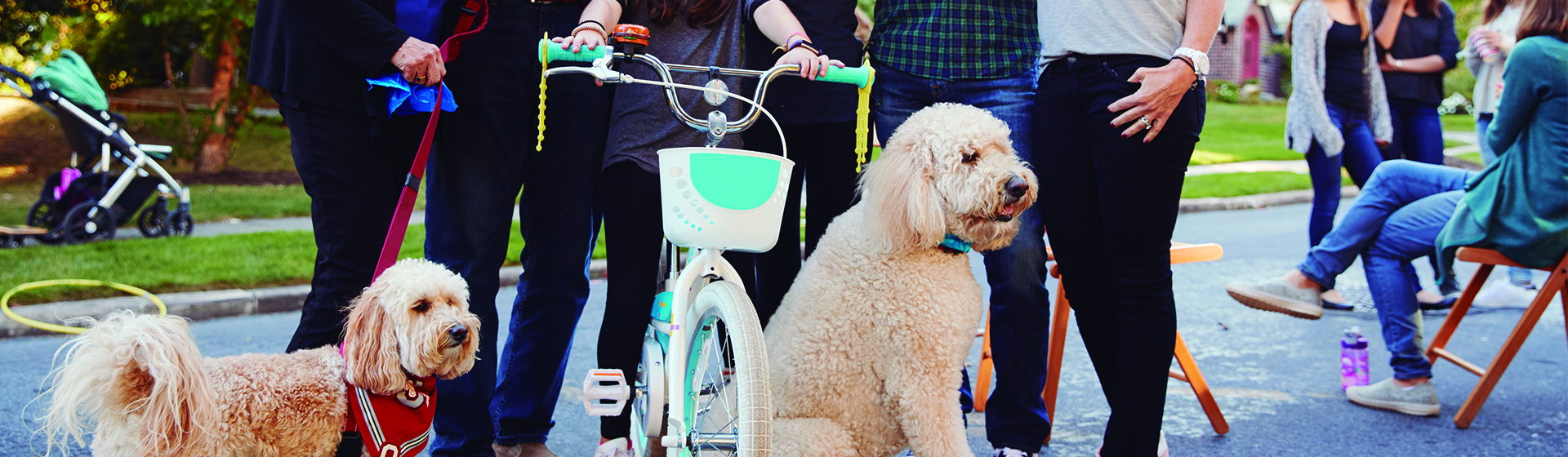Los animales pueden ser los mejores vecinos (iStock)