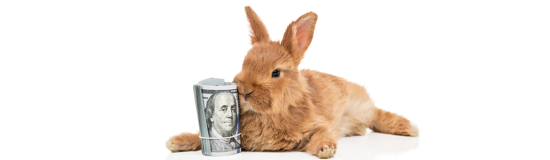 Todas las mascotas suponen unos gastos (iStock)