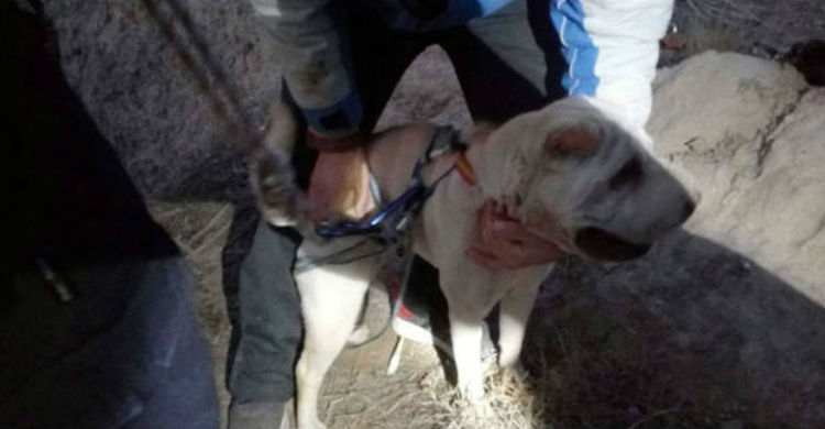 El rescate llevado a cabo en Navarra (Foto: Bomberos de Navarra)