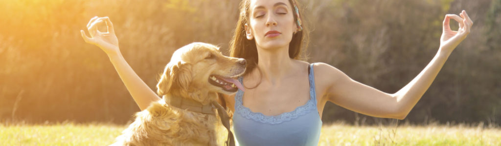 ¿Aún no conoces el dogga? (Foto: iStock)