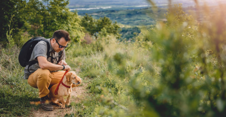 Los rastreadores de animales son los más peligrosos en este sentido (Foto: iStock)