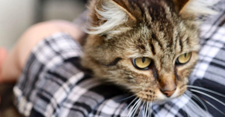 Situándole en el costado de tu cuerpo mientras le sujetas con firmeza es la mejor manera de cogerle (Foto: iStock)