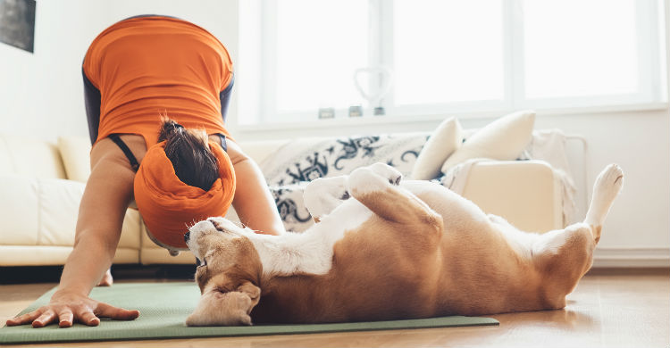 Conectar con tu perro es uno de los múltiples beneficios que ofrece esta práctica (Foto: iStock)