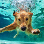 4. Asociar el momento del baño con un rato entretenido (Istock)