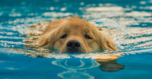 5. Tener paciencia (Istock)