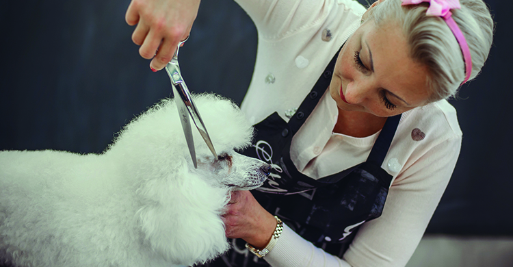 Es necesario que tengan el pelo rizado para este corte (iStock)
