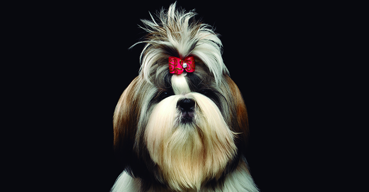 Este corte estuvo muy de moda hace unos años (iStock)