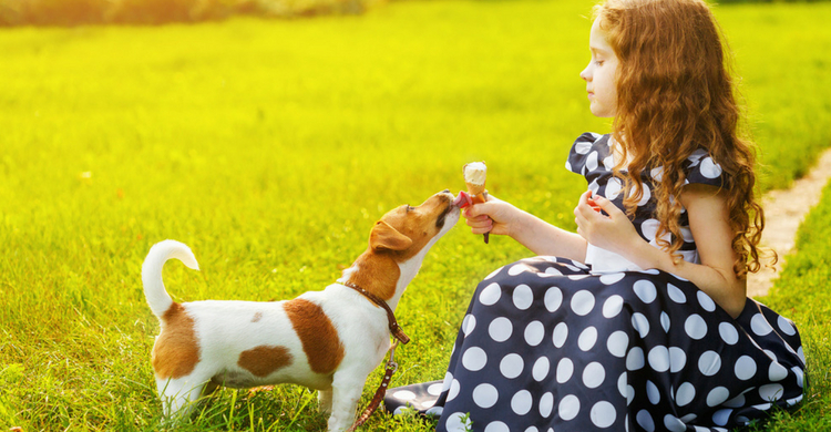 En verano refrescará a tu mascota (Istock)