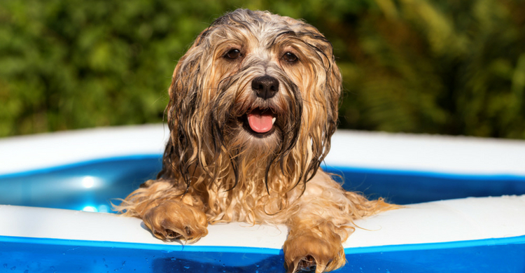 El agua, vuestra aliada (Istock)