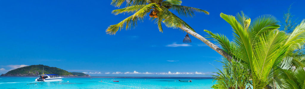 Las 7 mejores playas de México a las que puedes ir con tu mascota (Istock)