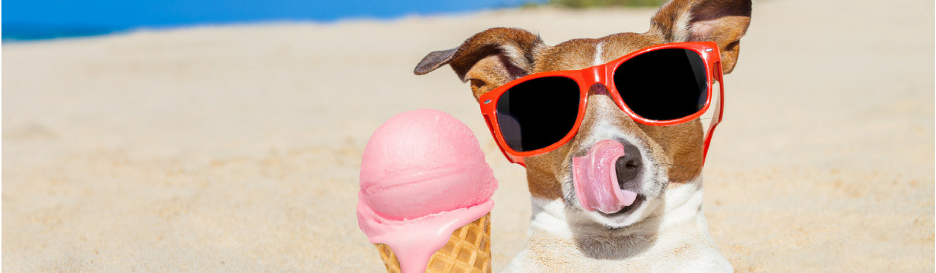 Helados para perros, el nuevo capricho (Istock)