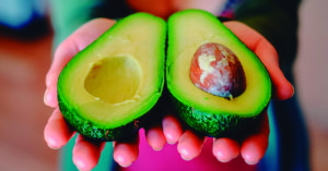 Hay muchos animales que tiene prohibido el aguacate (Pixabay)