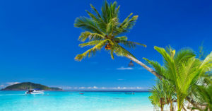 Las 7 mejores playas de México a las que puedes ir con tu mascota (Istock)