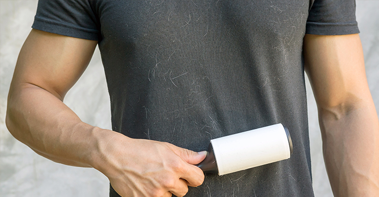 Los rodillos para la ropa también valen para el sofá (iStock)