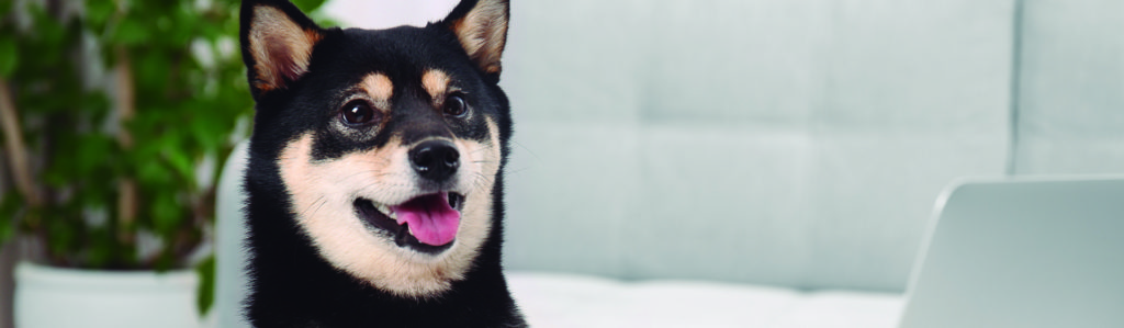 Sus caritas de sorpresa son impagables (iStock)