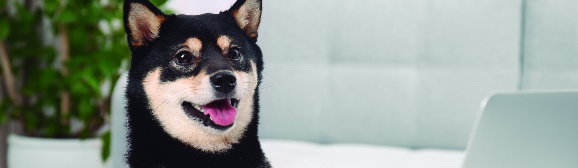 Sus caritas de sorpresa son impagables (iStock)