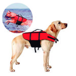 Un chaleco salvavidas es fundamental si vas al agua con tu perro (Amazon.com)